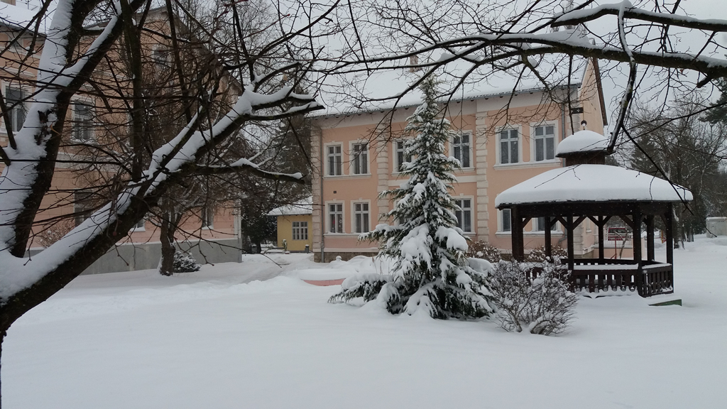 Poziv na dostavu ponude za nabavu mesa i mesnih proizvoda 02-2023